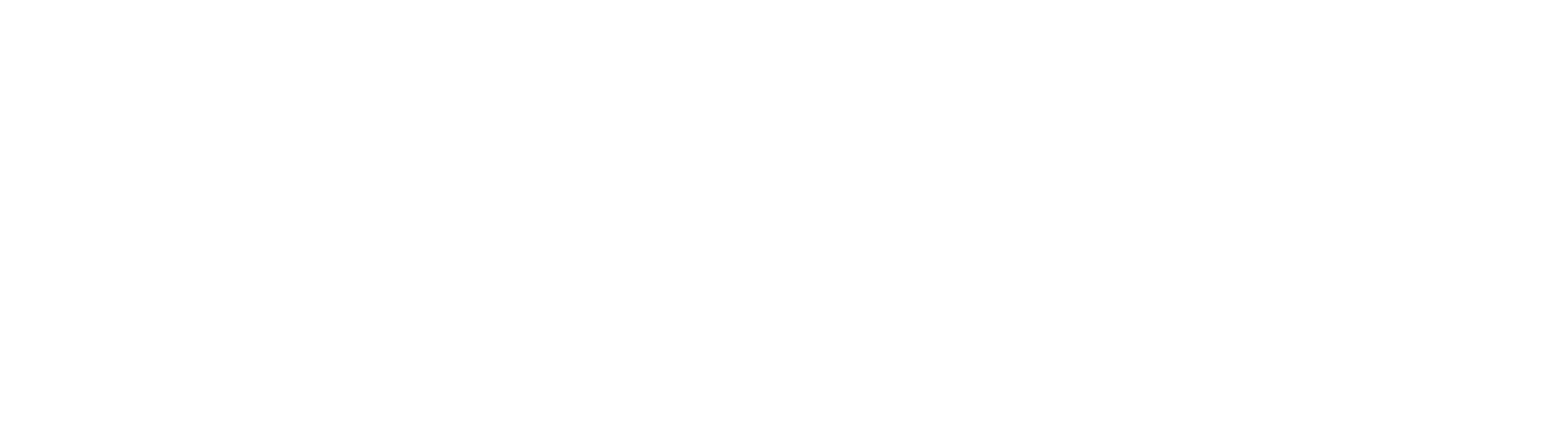 Roam Earplugs